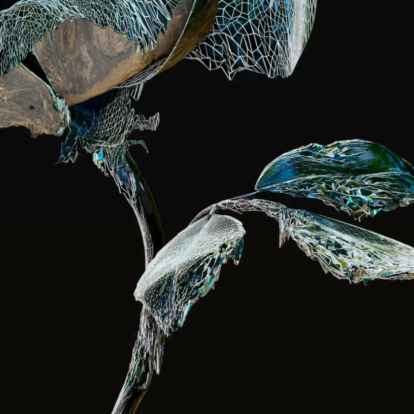 ROSE ONE - Prints  - Image 7