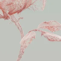 roseone-wir-t-a3p-doubleface